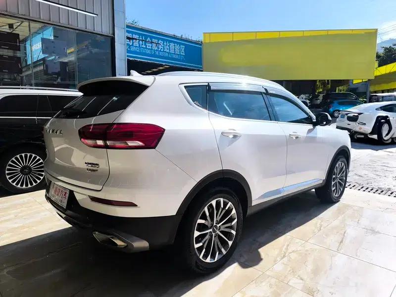 Haval H6 2020 2.0GDIT Automatic Platinum Champion Edition — миниатюра 6