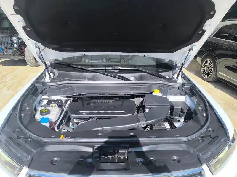 Haval H6 2020 2.0GDIT Automatic Platinum Champion Edition — миниатюра 7