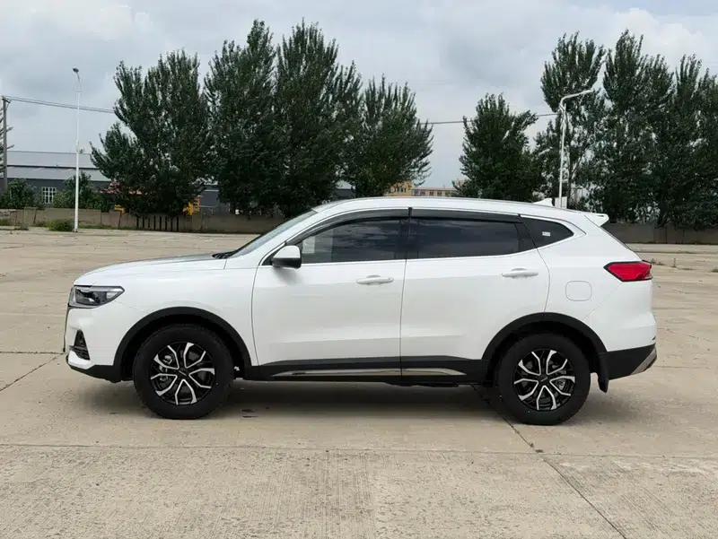 Haval H6 2021 National Trend Edition 1.5T Automatic Urban Edition — миниатюра 4