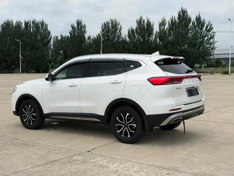 Haval H6 2021 National Trend Edition 1.5T Automatic Urban Edition — миниатюра 5