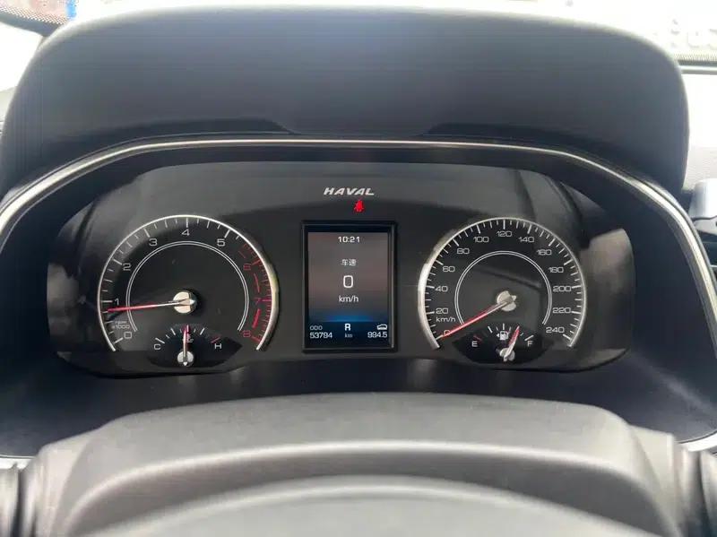 Haval H6 2020 1.5GDIT Automatic Platinum Champion Edition — миниатюра 9