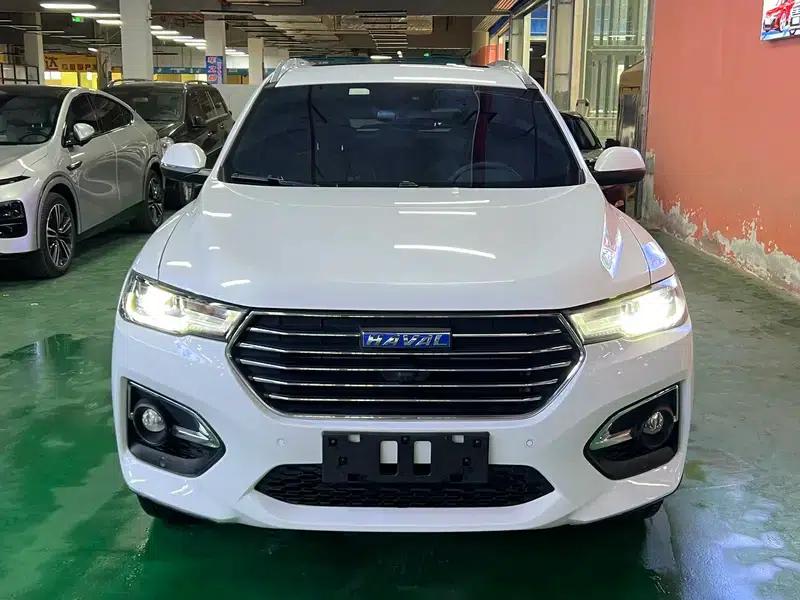 Haval H6 2018 Blue Label 2.0T Automatic Luxury — миниатюра 2