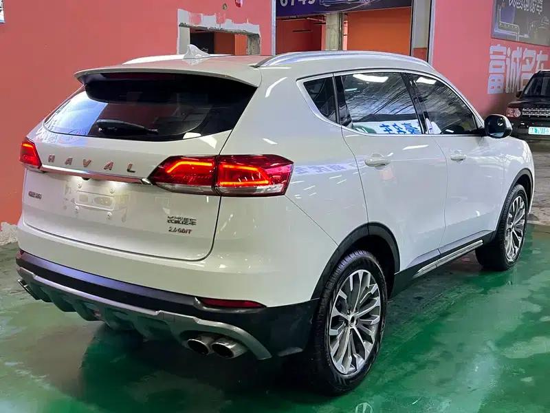 Haval H6 2018 Blue Label 2.0T Automatic Luxury — миниатюра 6