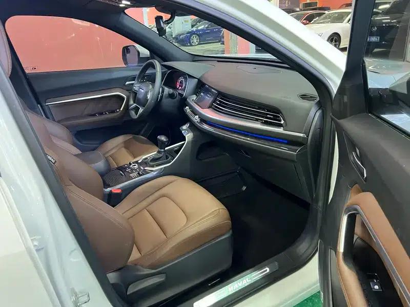 Haval H6 2018 Blue Label 2.0T Automatic Luxury — миниатюра 8