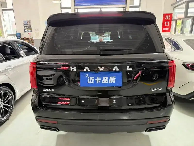 Haval H5 2023 2.0T Diesel with Leading Automatic 4WD — миниатюра 5