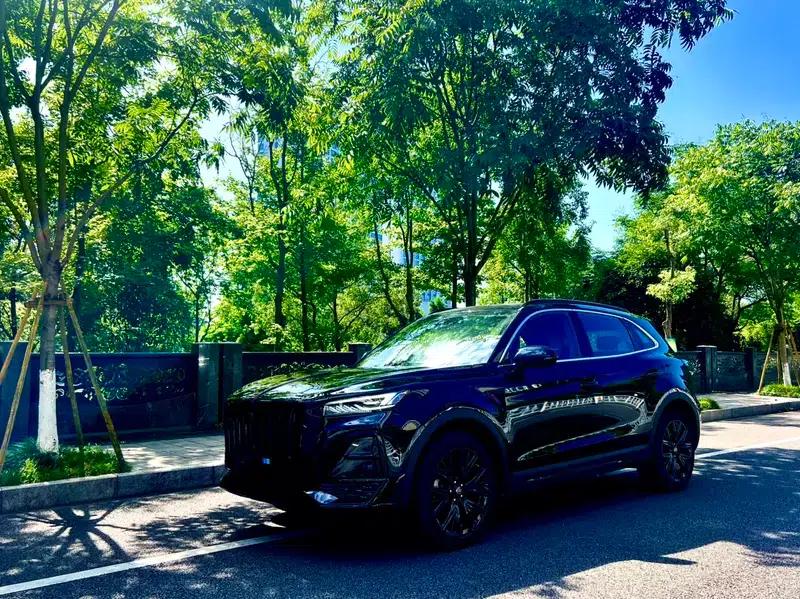 Hongqi HS5 2025 2.0T Two-Wheel Drive Xuan Ying Edition — миниатюра 1