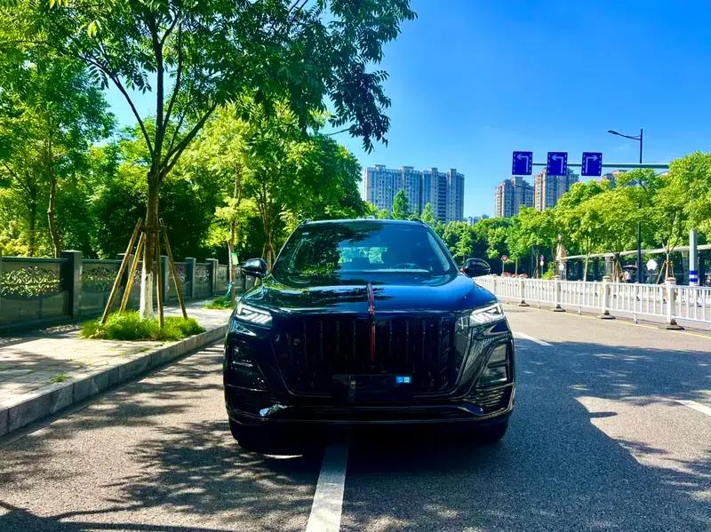 Hongqi HS5 2025 2.0T Two-Wheel Drive Xuan Ying Edition — миниатюра 2