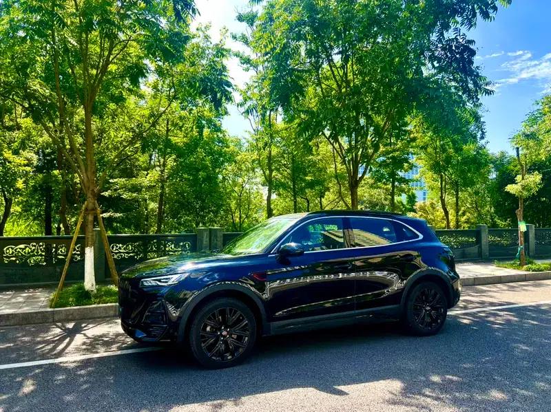 Hongqi HS5 2025 2.0T Two-Wheel Drive Xuan Ying Edition — миниатюра 7