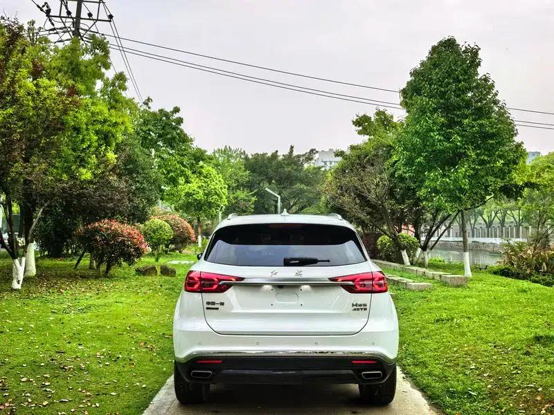 Hongqi HS5 2019 2.0T Intelligent Flagship Enjoy 4WD Edition — миниатюра 6