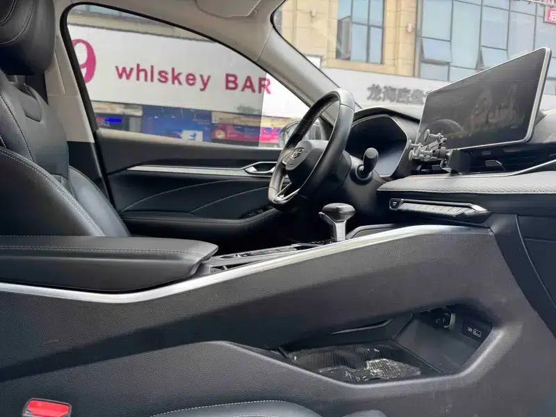 Xingrui 2020 2.0T Luxury Edition — миниатюра 13