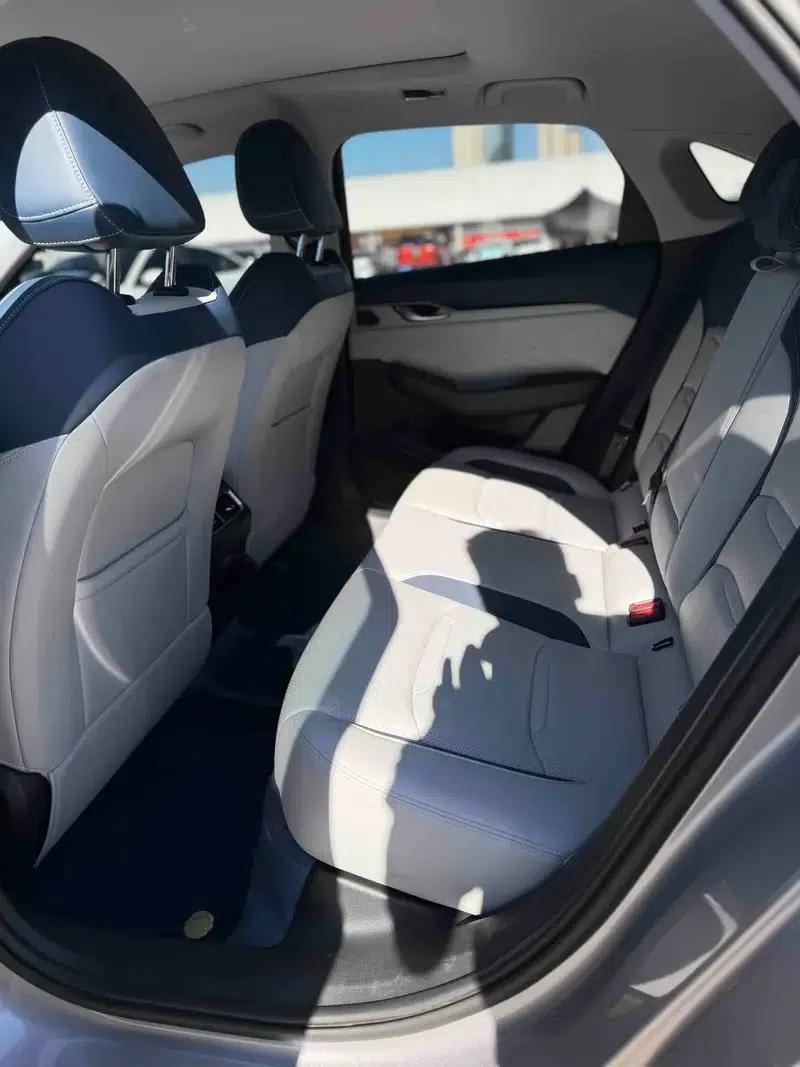 Xingrui 2020 2.0T Flagship Edition — миниатюра 9