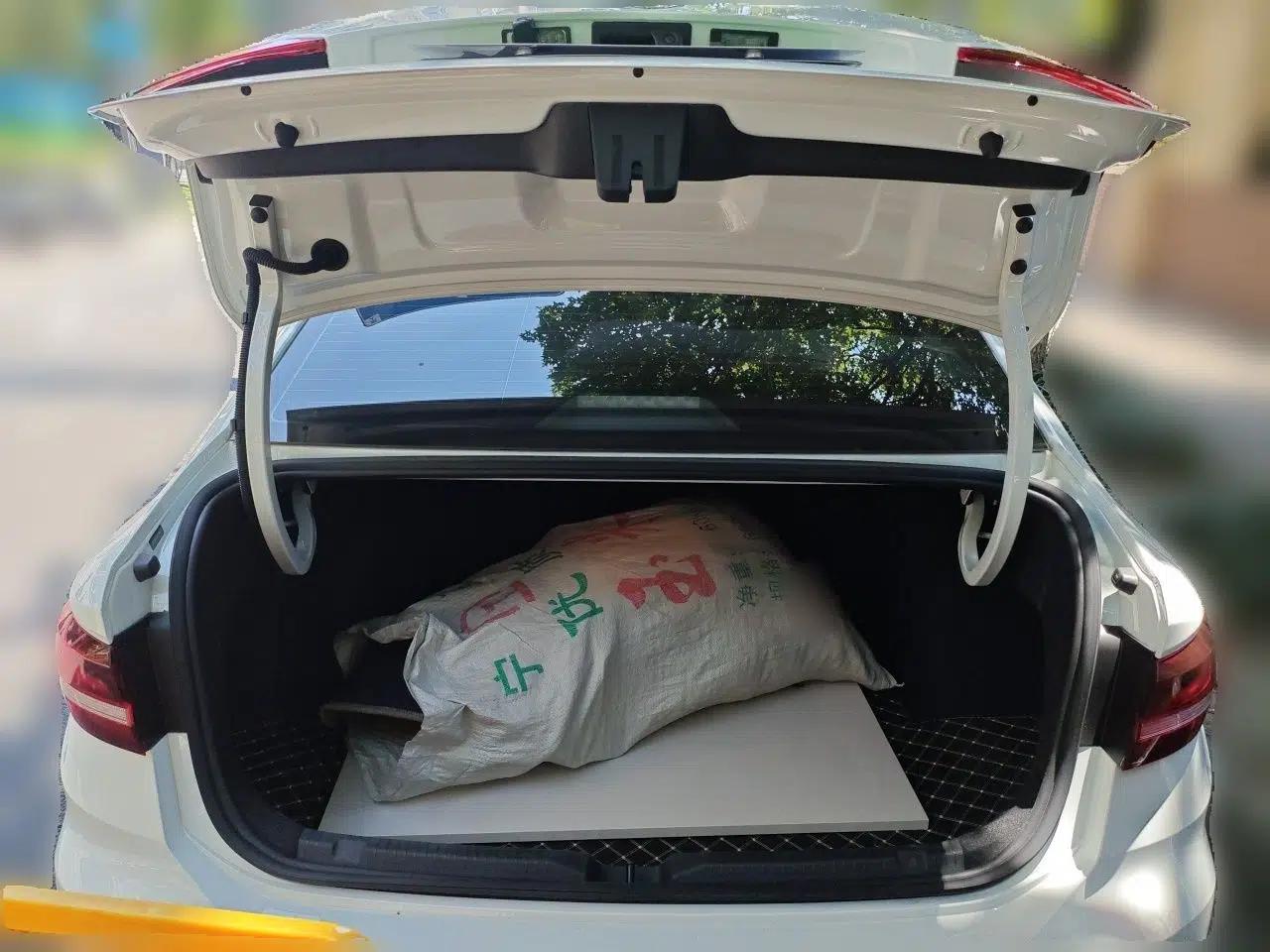 Volkswagen Lavida 2024 1.5L Automatic Starry Sky 5 Million Edition — миниатюра 19