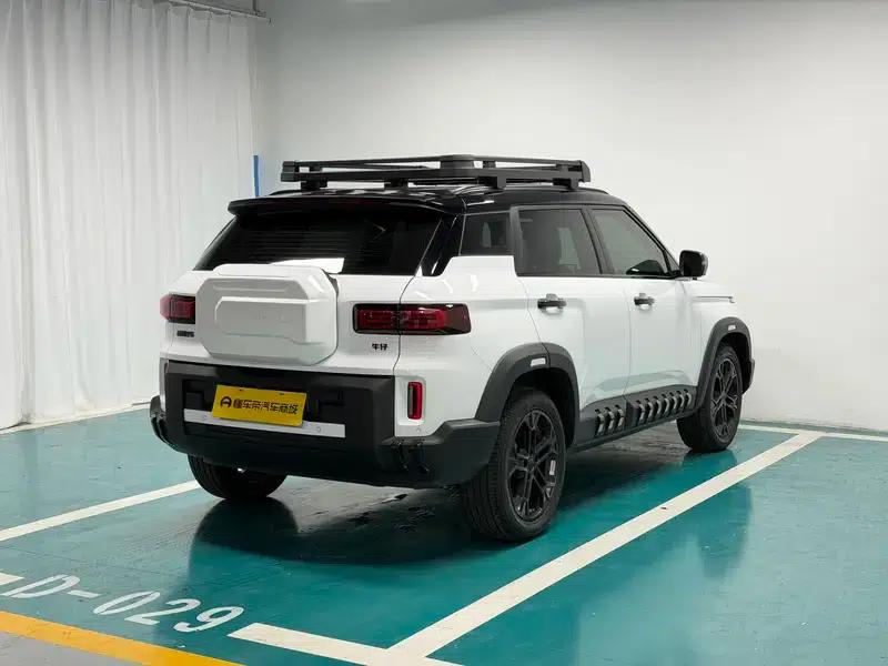 2025 Cowboy 1.5TD Wild Edition — миниатюра 7