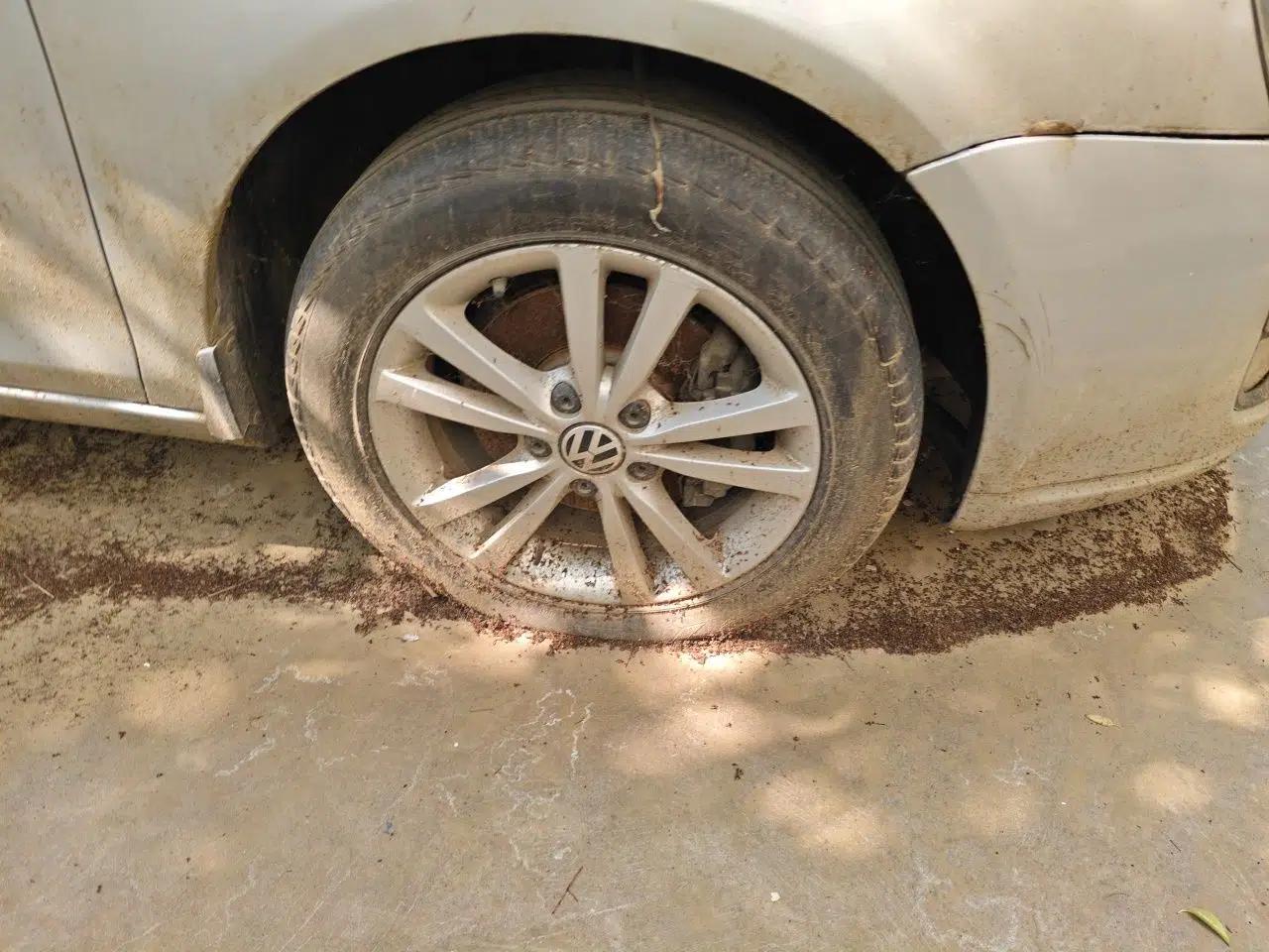Volkswagen Sagitar 2011 1.4 TSI Manual Tech Model — миниатюра 8