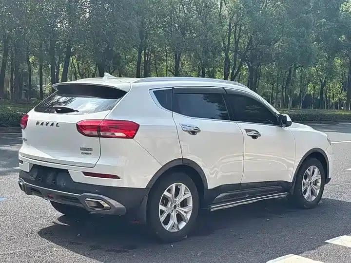 Haval H6 2019 Red Label 2.0GDIT Automatic Champion Edition — миниатюра 7