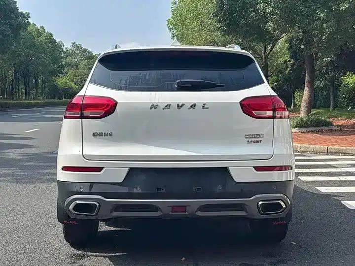 Haval H6 2019 Red Label 2.0GDIT Automatic Champion Edition — миниатюра 8