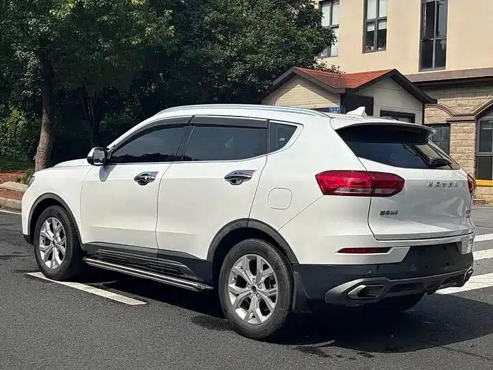 Haval H6 2019 Red Label 2.0GDIT Automatic Champion Edition — миниатюра 9