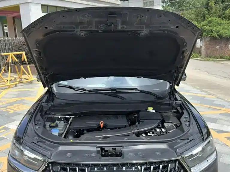 Haval H6 2021 National Trend Edition 1.5GDIT Automatic Champion Edition — миниатюра 22