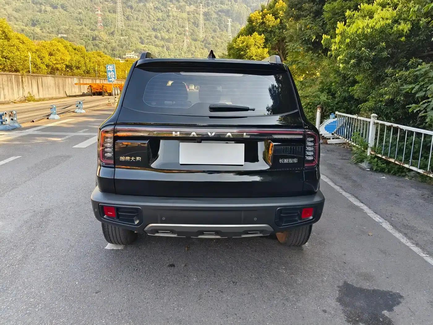 Haval Big Dog 2024 1.5T DCT Border Collie Edition — миниатюра 8