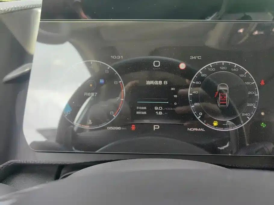 Haval Big Dog 2022 1.5T DCT 2WD Border Collie Edition — миниатюра 14