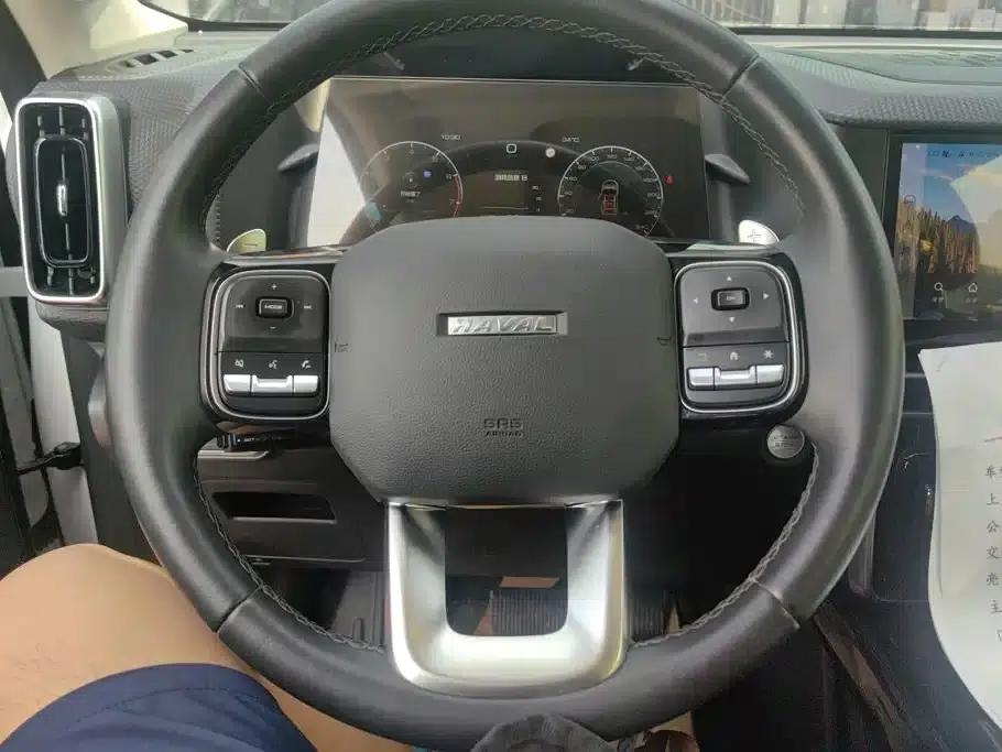 Haval Big Dog 2022 1.5T DCT 2WD Border Collie Edition — миниатюра 15