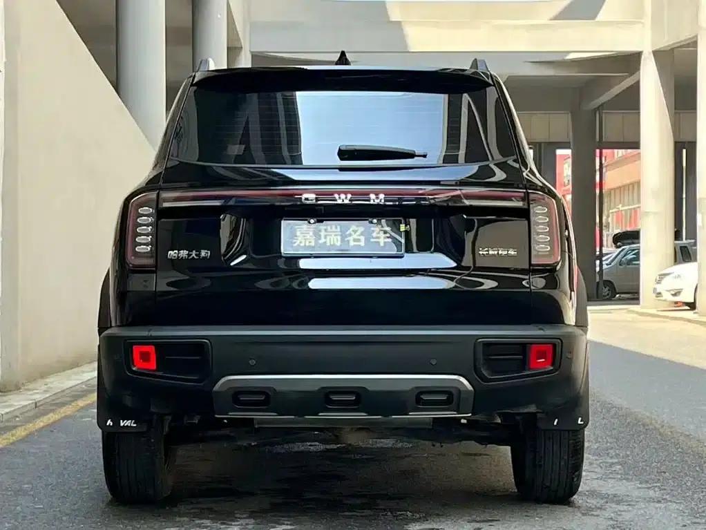Haval Big Dog 2026 1.5T DCT Border Collie Edition — миниатюра 4