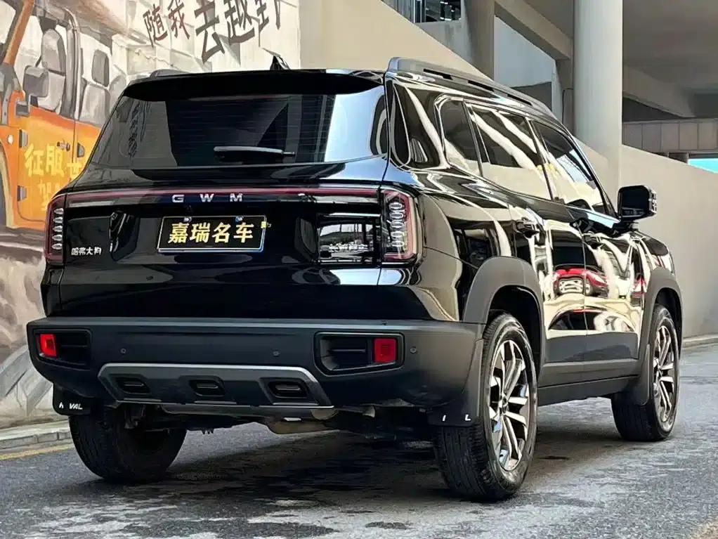 Haval Big Dog 2026 1.5T DCT Border Collie Edition — миниатюра 5