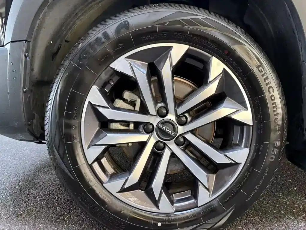 Haval Big Dog 2026 1.5T DCT Border Collie Edition — миниатюра 6