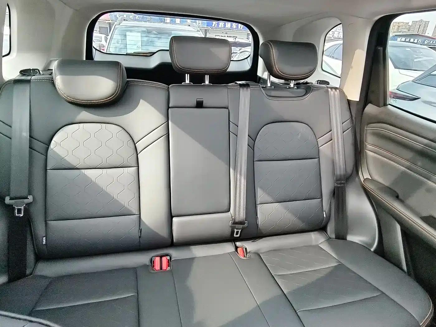 Haval Big Dog 2024 1.5T DCT Labrador Edition — миниатюра 12
