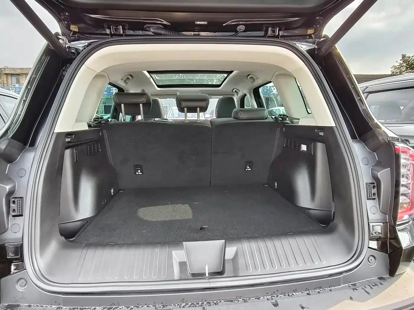Haval Big Dog 2024 1.5T DCT Labrador Edition — миниатюра 13