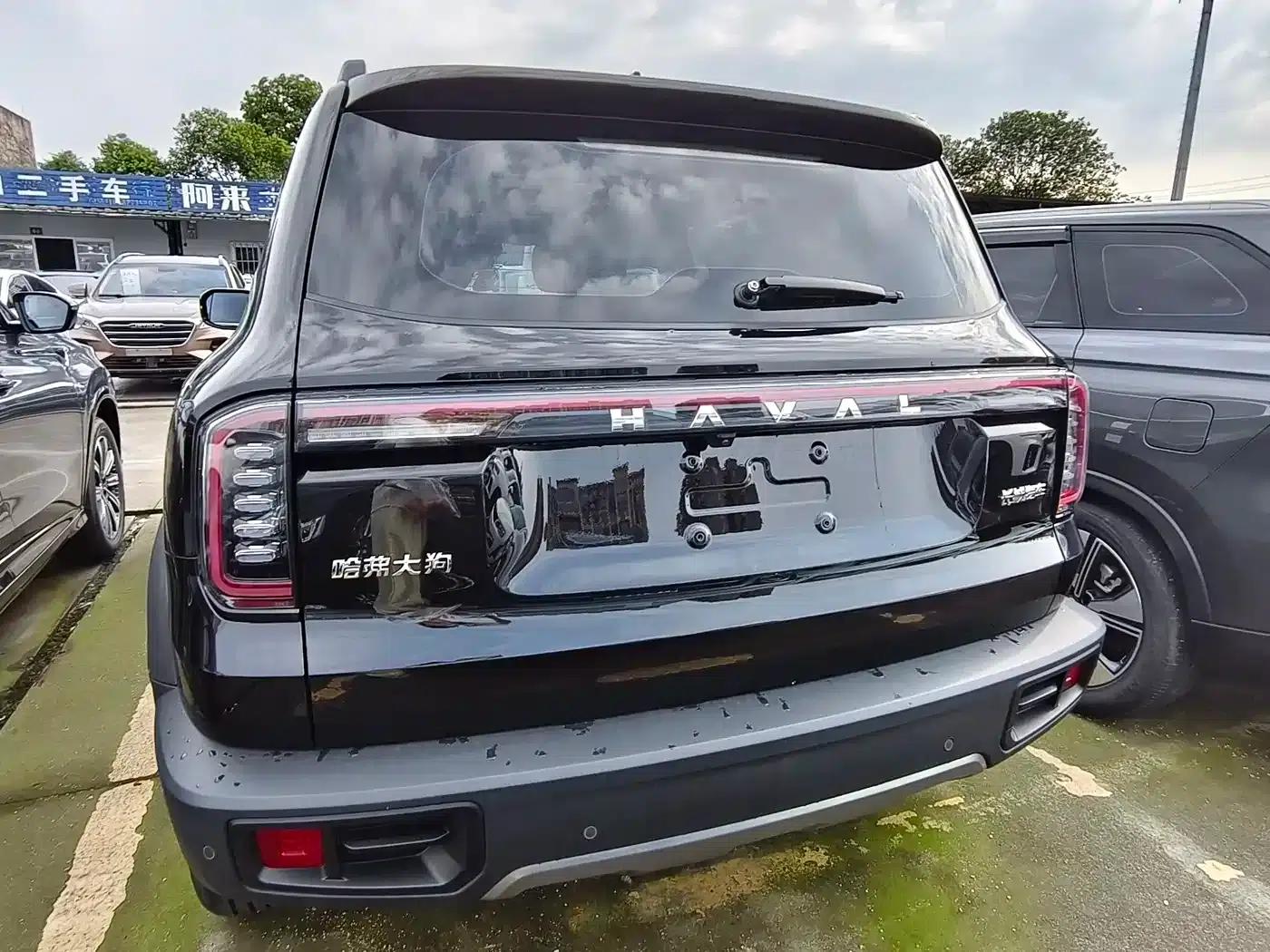 Haval Big Dog 2024 1.5T DCT Labrador Edition — миниатюра 16