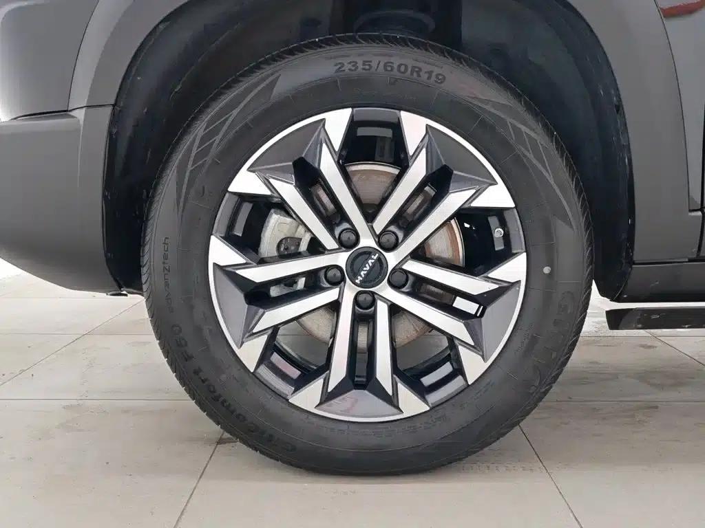 Haval Big Dog 2024 1.5T DCT Border Collie Edition — миниатюра 17