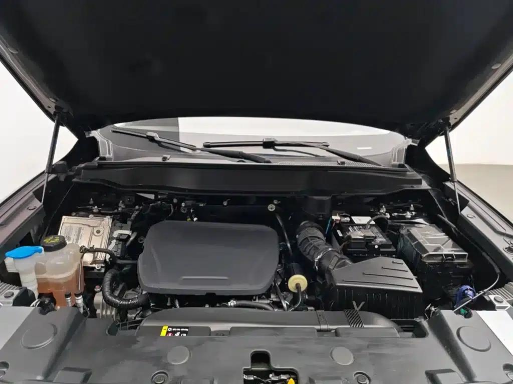 Haval Big Dog 2024 1.5T DCT Border Collie Edition — миниатюра 6
