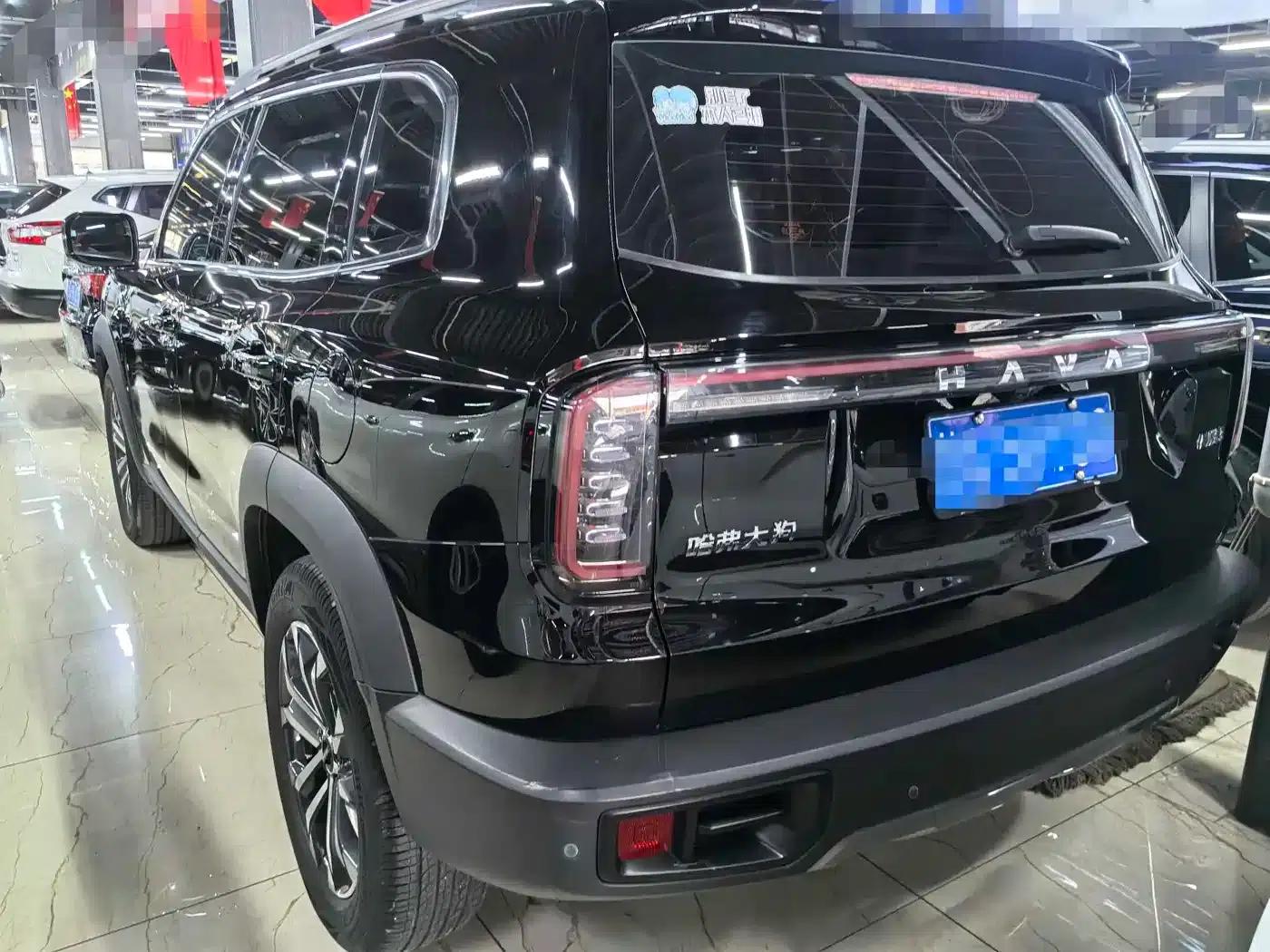 Haval Big Dog 2024 1.5T DCT Border Collie Edition — миниатюра 4