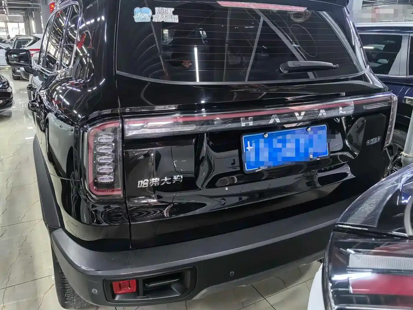 Haval Big Dog 2024 1.5T DCT Border Collie Edition — миниатюра 5