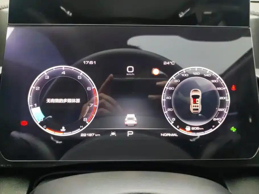Haval Big Dog 2024 1.5T DCT Border Collie Edition — миниатюра 14