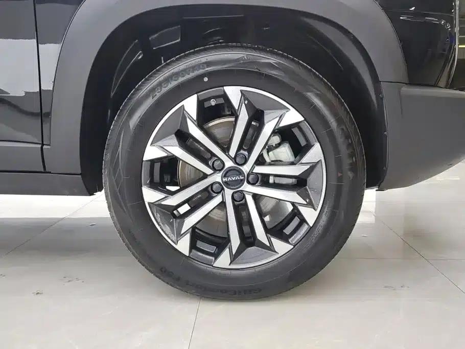 Haval Big Dog 2024 1.5T DCT Border Collie Edition — миниатюра 6