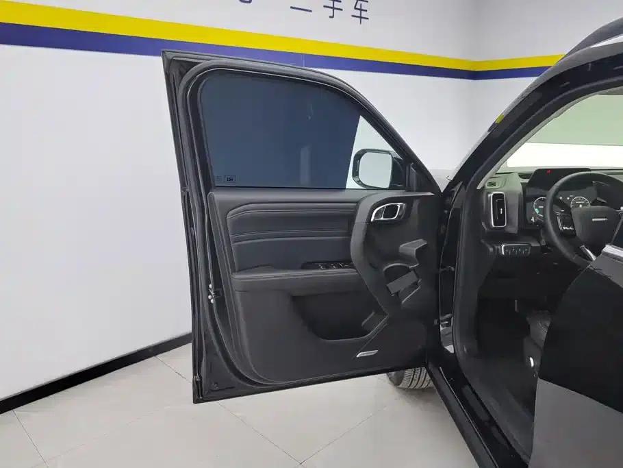 Haval Big Dog 2024 1.5T DCT Border Collie Edition — миниатюра 7