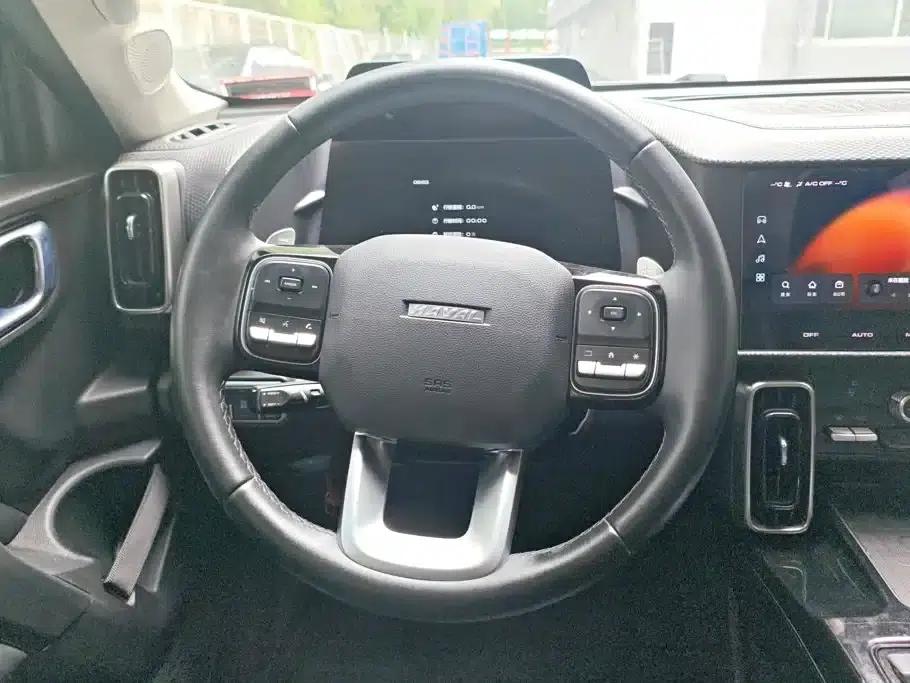 Haval Big Dog 2021 1.5T DCT 2WD Border Collie Edition — миниатюра 15