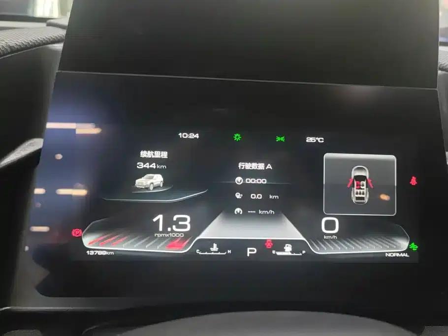 Haval Big Dog 2024 2.0T DCT Chinese Rural Dog Edition — миниатюра 14
