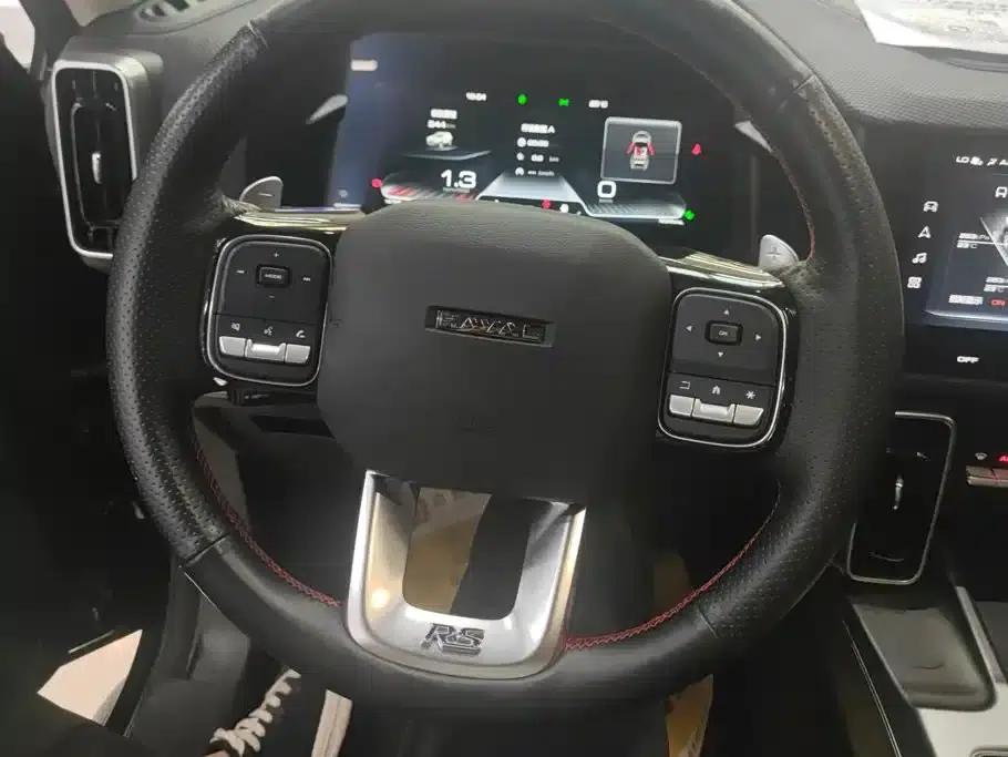 Haval Big Dog 2024 2.0T DCT Chinese Rural Dog Edition — миниатюра 15