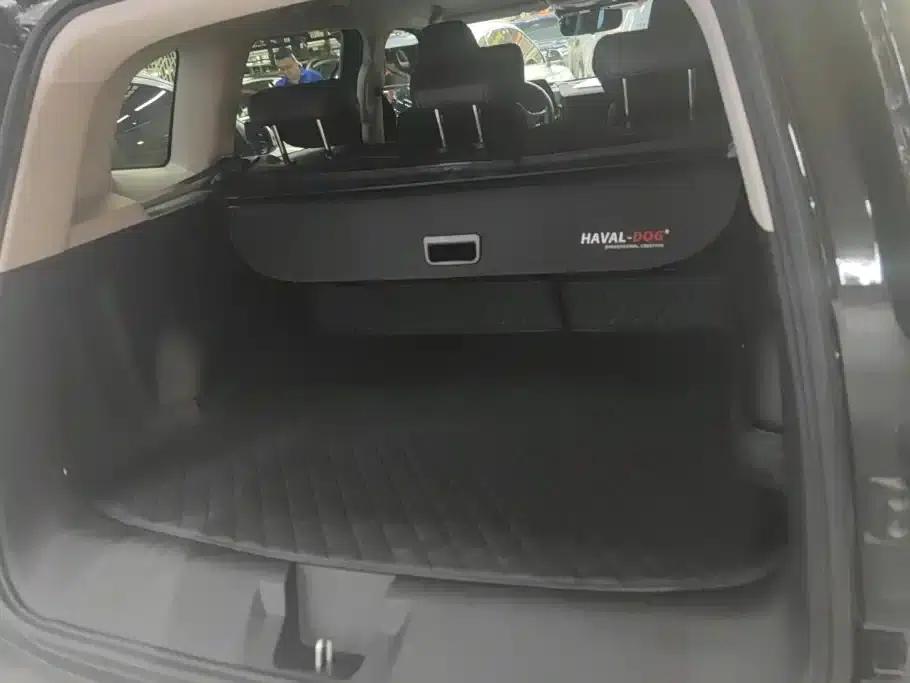 Haval Big Dog 2024 2.0T DCT Chinese Rural Dog Edition — миниатюра 4