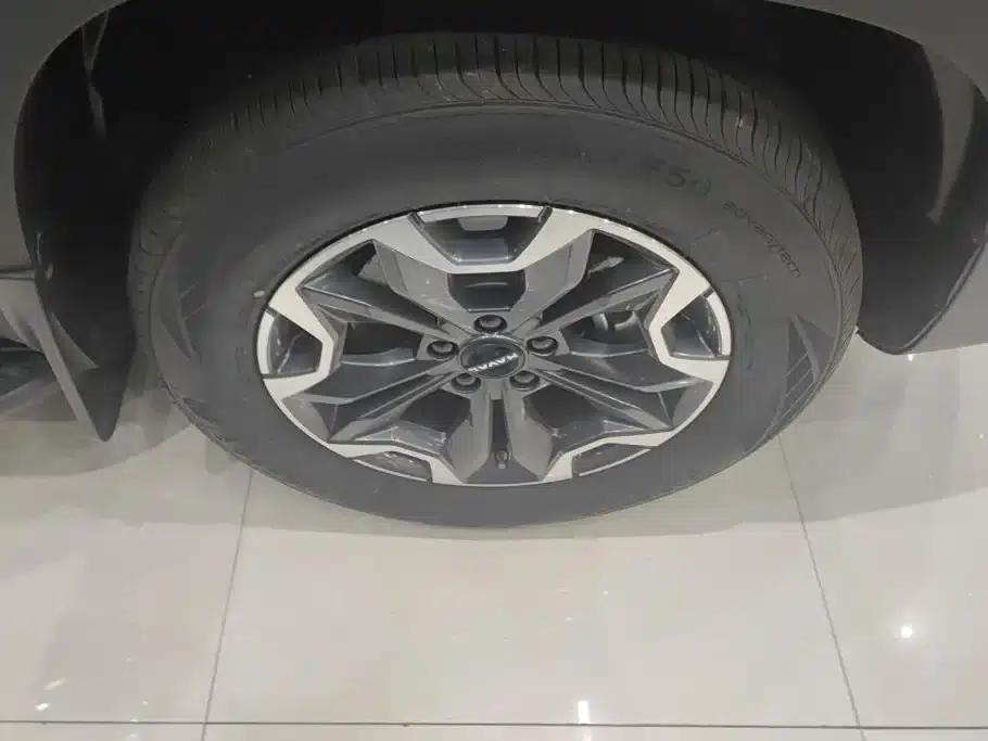 Haval Big Dog 2024 2.0T DCT Chinese Rural Dog Edition — миниатюра 6