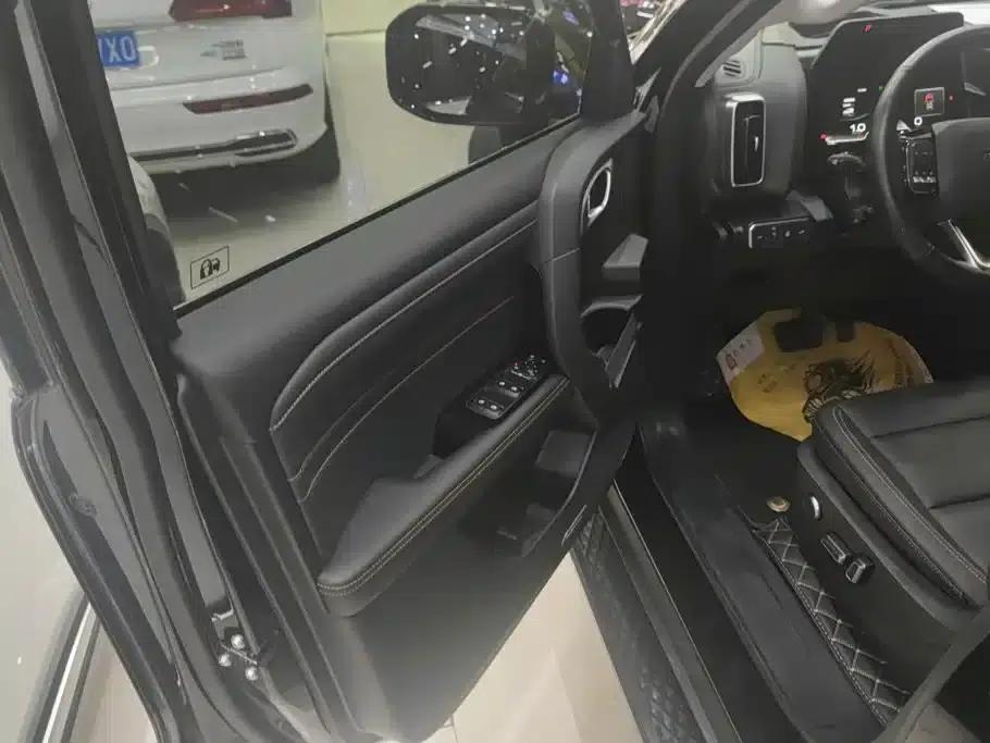 Haval Big Dog 2024 2.0T DCT Chinese Rural Dog Edition — миниатюра 7