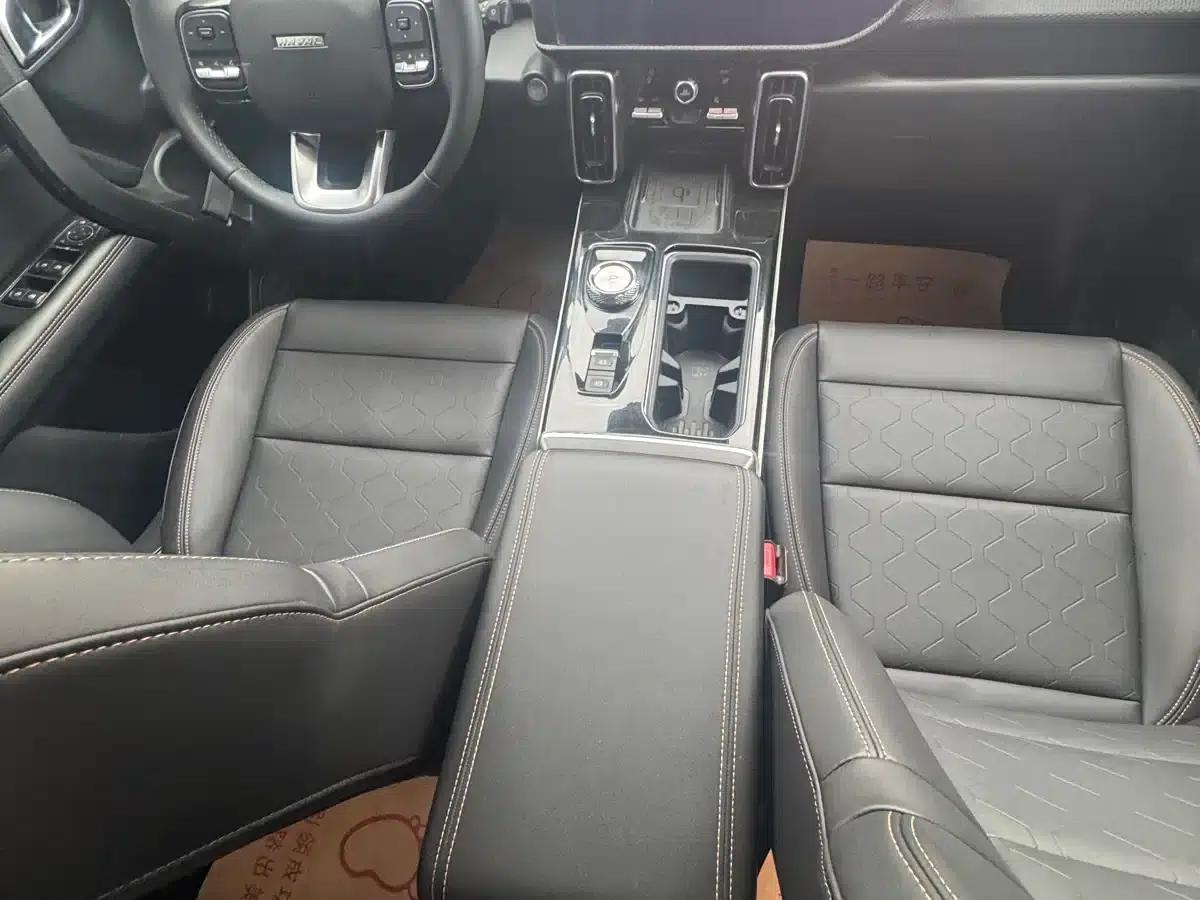 Haval Big Dog 2021 1.5T DCT 2WD Husky Edition — миниатюра 12