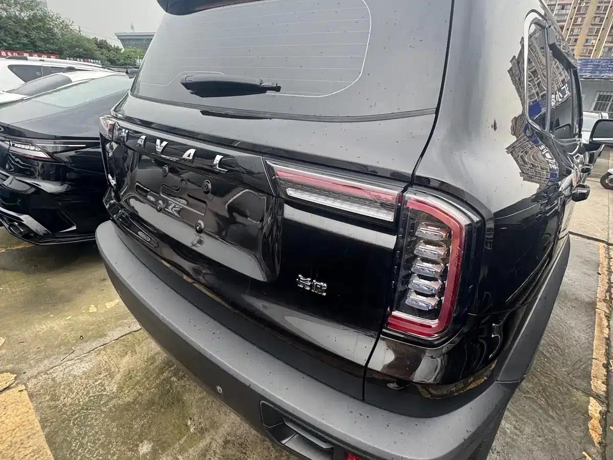 Haval Big Dog 2021 1.5T DCT 2WD Husky Edition — миниатюра 15
