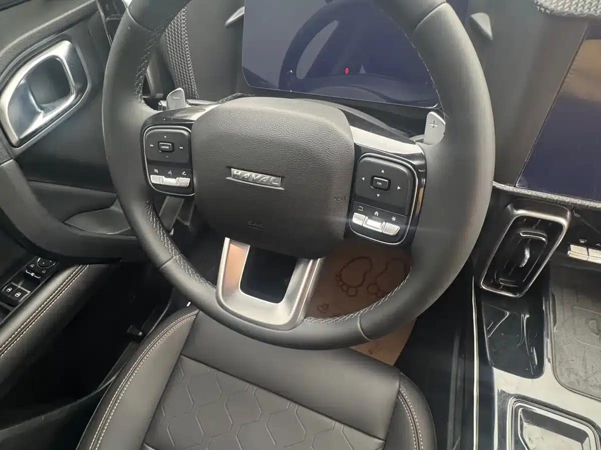 Haval Big Dog 2021 1.5T DCT 2WD Husky Edition — миниатюра 8