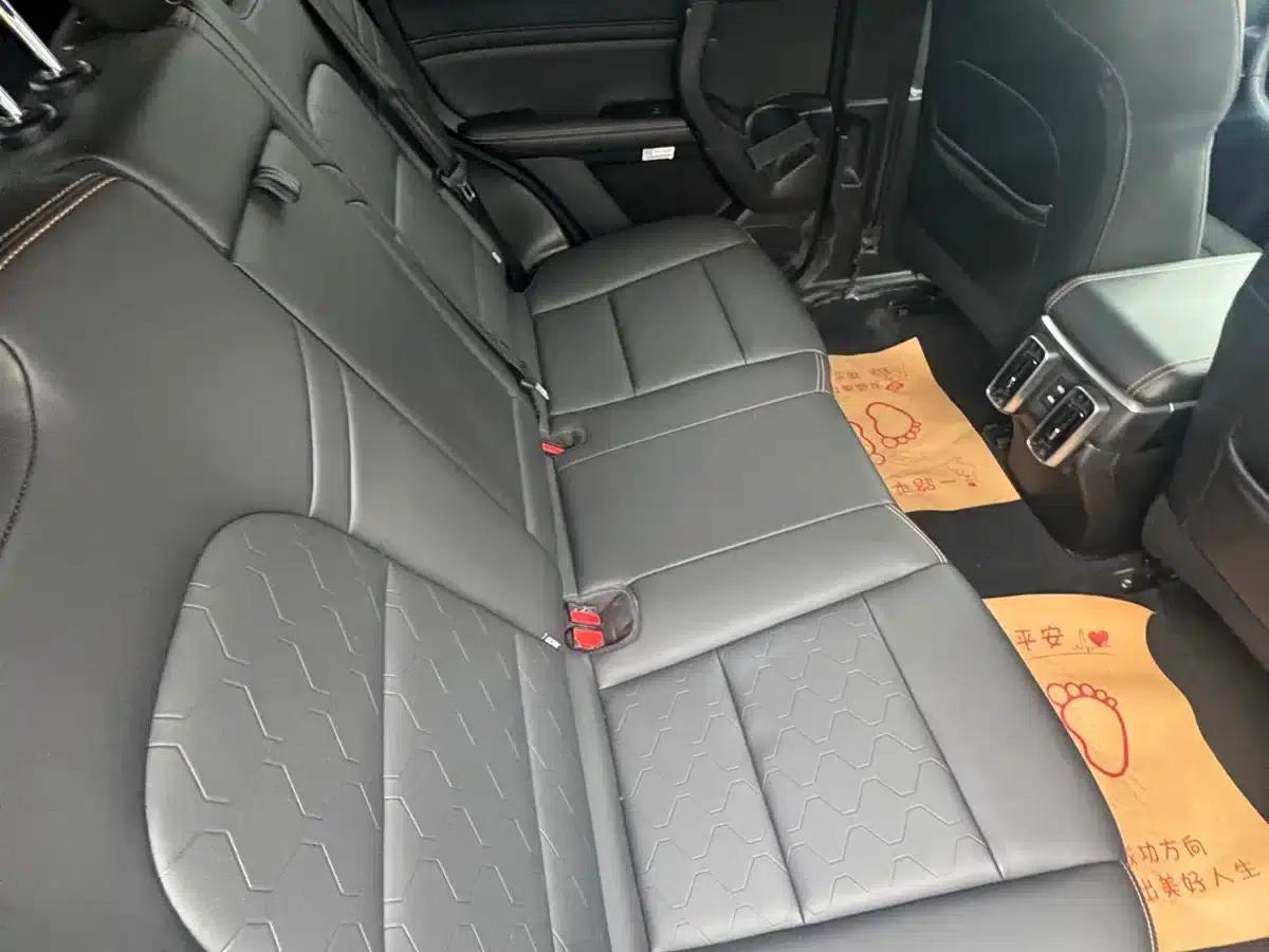 Haval Big Dog 2021 1.5T DCT 2WD Husky Edition — миниатюра 10
