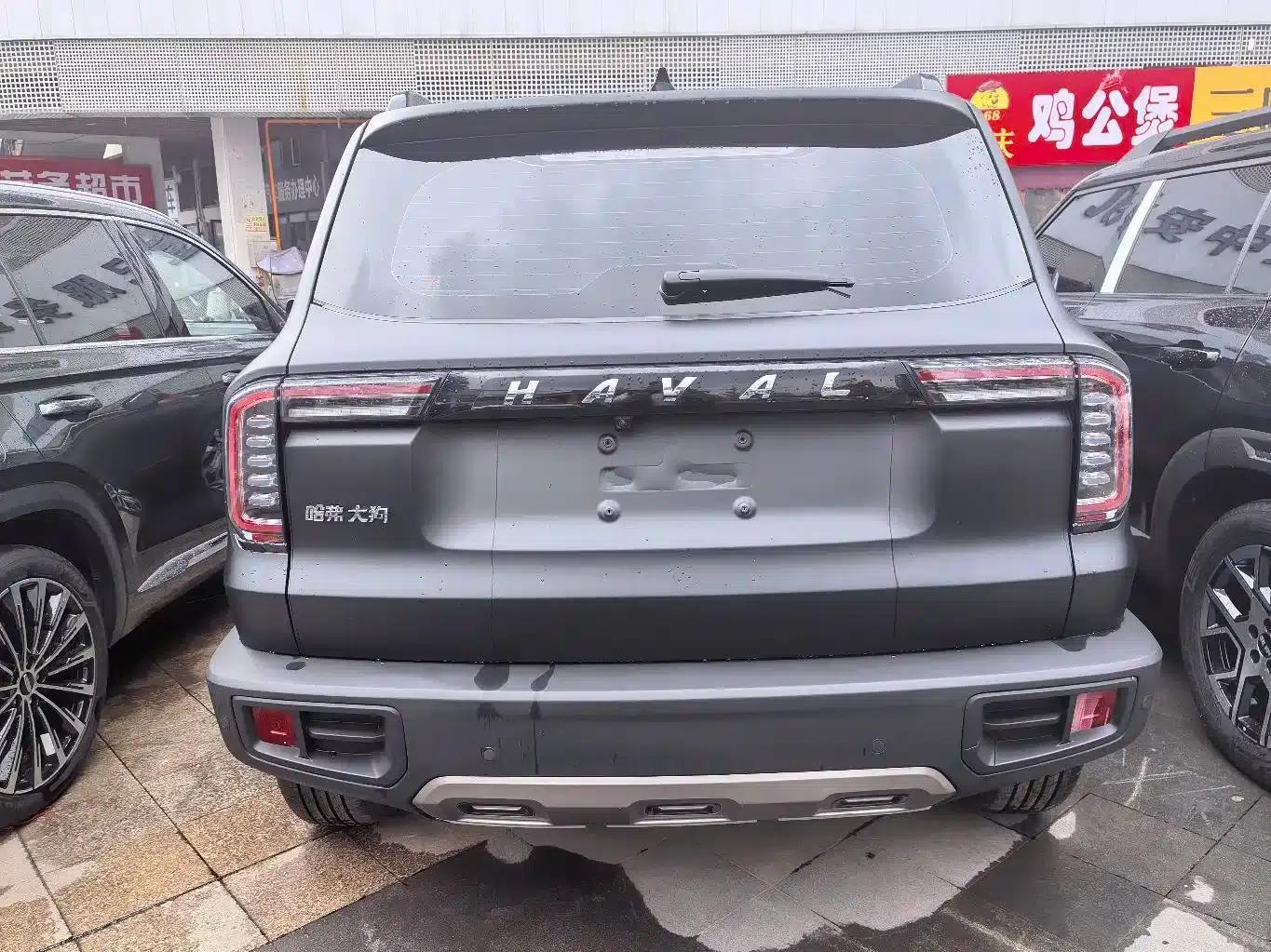 Haval Big Dog 2021 1.5T DCT 2WD Border Collie Edition — миниатюра 17