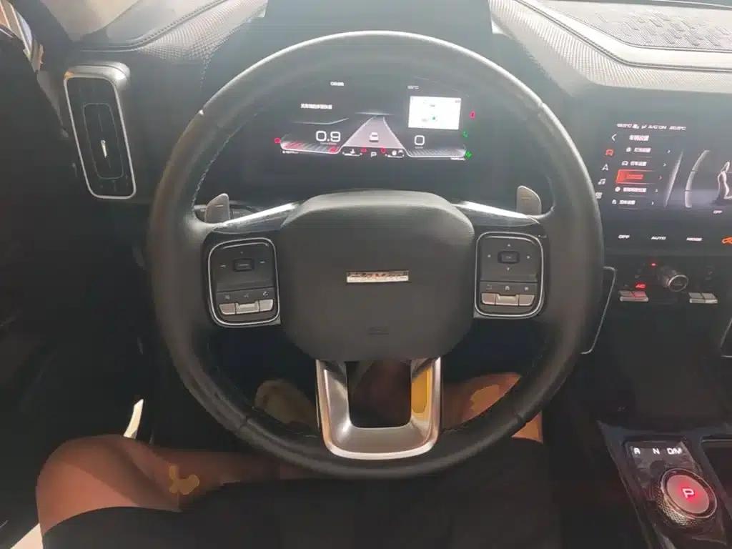 Haval Big Dog 2022 2.0T DCT 4WD Howling Dog Edition — миниатюра 11
